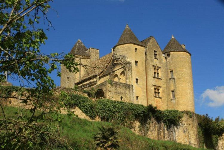 Petite Maison En Pierre Au Coeur Du Perigord Noir Proche De Sarlat Et Rocamadour Salignac Eyvigues Экстерьер фото