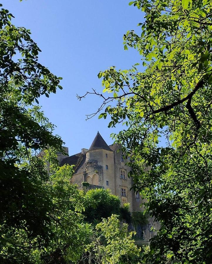 Petite Maison En Pierre Au Coeur Du Perigord Noir Proche De Sarlat Et Rocamadour Salignac Eyvigues Экстерьер фото