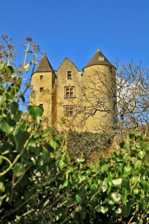 Petite Maison En Pierre Au Coeur Du Perigord Noir Proche De Sarlat Et Rocamadour Salignac Eyvigues Экстерьер фото